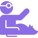 Animal dermatology services