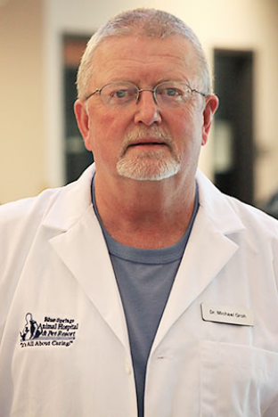 Micheal Groh pet dermatologist